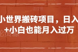 QQ小世界搬砖项目实操指南 零基础小白可落地副业玩法详解