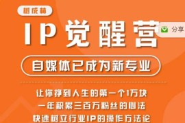 树成林IP觉醒营实操课 行业IP打造方法论 新手变现入门指南