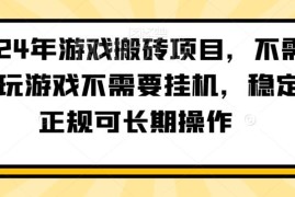 2024年Steam跨平台游戏搬砖正规项目 无需玩游戏挂机可长期操作