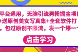 全平台通用男粉引流掘金项目 附原创写真素材及全套运营软件