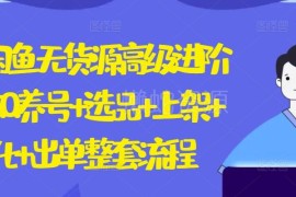 2024闲鱼无货源高阶卖货教程 养号选品到出单全流程解析