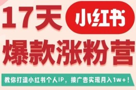 17天小红书广告变现涨粉营 零基础学打造博主IP接商单变现