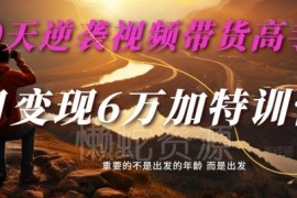 30天视频带货高手特训营 单月变现6万+全流程实操教程