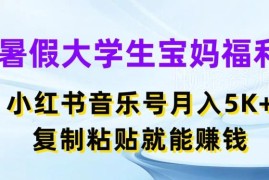 大学生宝妈暑假可做副业 小红书音乐号复制粘贴月入5000+玩法