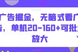 看广告掘金实操项目分享 单机日入20-160元可批量放大