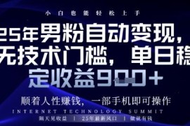 低门槛男粉全自动变现项目拆解 操作简单可实现稳定日入千元
