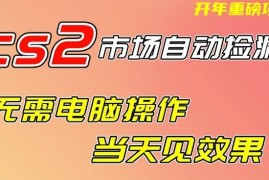 CS2游戏饰品自动捡漏项目全解 无需电脑不进游戏手机即可操作