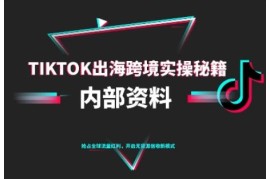 10月更新TikTok跨境电商0-1搭建运营全流程实操教程