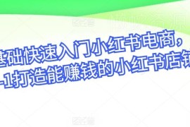 零基础小红书电商入门教程 从0到1打造可盈利的小红书店铺