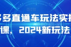 2024拼多多直通车实操新玩法 从入门到高阶运营教学课程