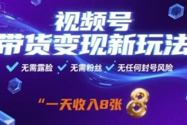 视频号零粉丝无需露脸带货玩法 新手低风险变现实操指南