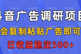 抖音广告调研项目怎么操作 仅需复制粘贴低门槛收益稳定