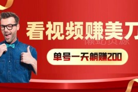 看视频赚美元正规操作方法 单小时40+可多号矩阵放大收益