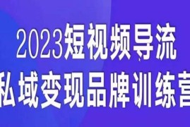 5天短视频导流私域变现先导课 全链路运营方法实操拆解