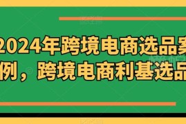2024年跨境电商利基选品案例合集 11月更新多品类蓝海选品方向