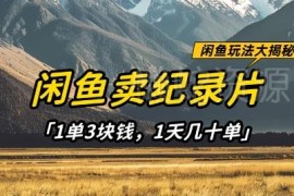 闲鱼卖纪录片低门槛赚钱项目实操 单量稳定可长期运营