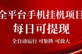 2026可操作全平台手机挂机赚金币项目操作及收益详情介绍