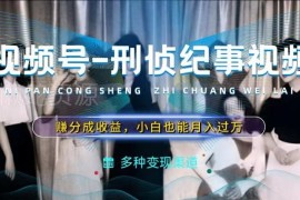 利用刑侦纪实视频做视频号分成计划 新手低门槛副业实操指南