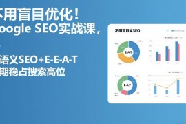 Google SEO实战教程 掌握语义SEO+E-E-A-T提升搜索排名