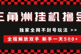 三角洲游戏全自动脚本撸金项目 新手操作及收益放大指南