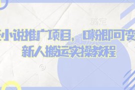 2025蛋花小说推文项目实操教程 0粉新人搬运即可上手变现