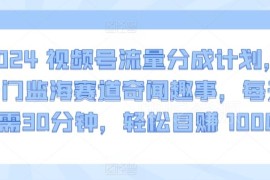 2024视频号流量分成计划 冷门监海奇闻赛道低门槛赚收益指南