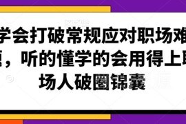 职场人破圈实操指南 应对各类职场难题的可落地实用技巧