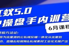 红蚁5.0IP操盘手内训营 详解IP操盘全链路终极方法论