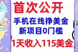0门槛在线赚美金实操教程 新手可上手的稳定被动收入操作指南