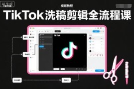 TikTok洗稿剪辑全流程课程 PR剪辑及账号运营实操技巧教学