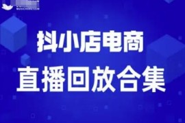 短视频电商抖小店从0到盈利全阶段运营实操直播回放合集