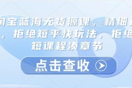 2025淘宝蓝海无货源精细运营课 全实操长课时拒绝短平快玩法