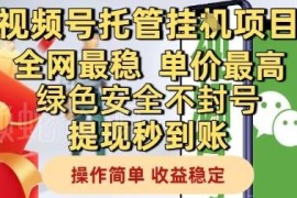 视频号托管挂机项目玩法揭秘 零投入稳定收益操作指南