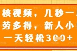 正规商品审核员副业实操解析：几秒一单多劳多得，新人上手无门槛