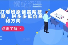 拼多多打爆班第39期高阶教程 低价高利店铺运营实操指南