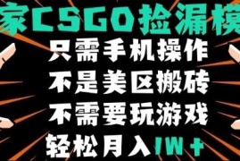 无需会玩CSGO的自动捡漏盈利项目 新手零门槛可操作赚差价