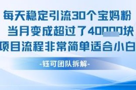 适合小白操作的日引流30人月入4万低门槛项目流程拆解