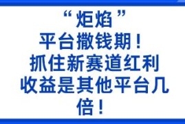 炬焰平台红利期赚钱指南 低门槛二创搬运即可获数倍收益