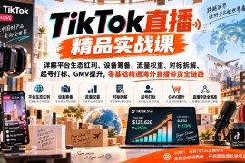 TikTok直播精品实战课 零基础精通海外直播带货全链路运营