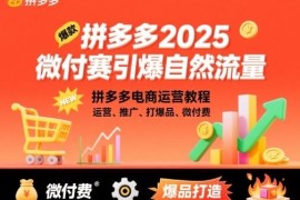 2025拼多多微付费运营教程 推广打爆品引爆自然流量实操
