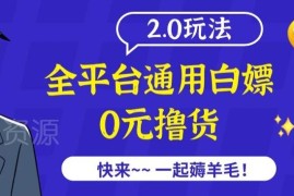 售价2980元全平台通用撸货项目2.0玩法 完整揭秘附防范要点