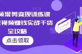 短视频混剪变现训练课程 账号运营涨粉变现全流程实战攻略