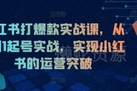 小红书从0到1起号实战课 系统掌握运营方法打造爆款内容