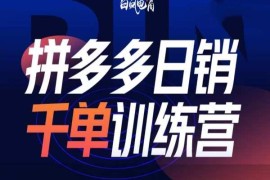 2025拼多多开年新变化及玩法 第32期日销千单训练营课程