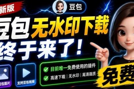 2024年8月版豆包无水印下载插件 支持图片视频批量下载多账号管理