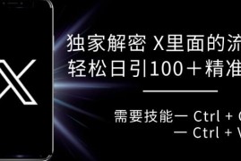 X平台流量密码实操教程 复制粘贴可日引100+高付费意向精准客群
