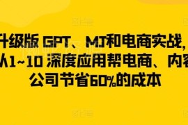 GPT与MJ电商深度实战应用课 助力电商及内容公司降本提效