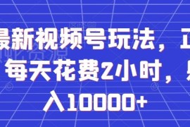 视频号正能量赛道最新实操玩法 每日2小时落地增收攻略