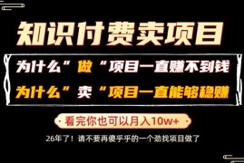 普通人靠卖项目月入10W+逻辑解析 卖项目稳赚不赔原因揭秘