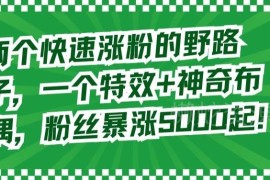 抖音快速涨粉实用技巧 两款工具助力新手账号涨粉5000以上